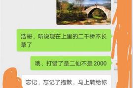 黄骅为什么选择专业追讨公司来处理您的债务纠纷？